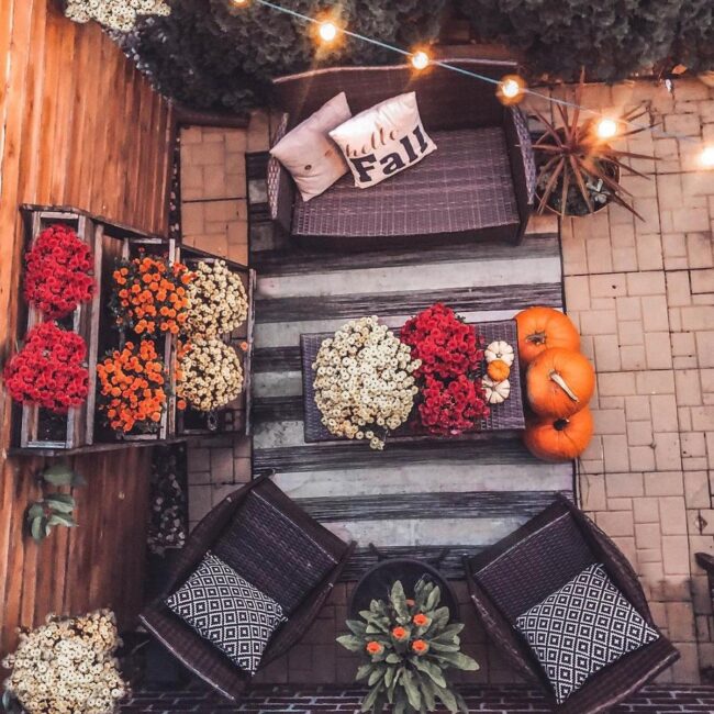 Autumn Pumpkin Palette