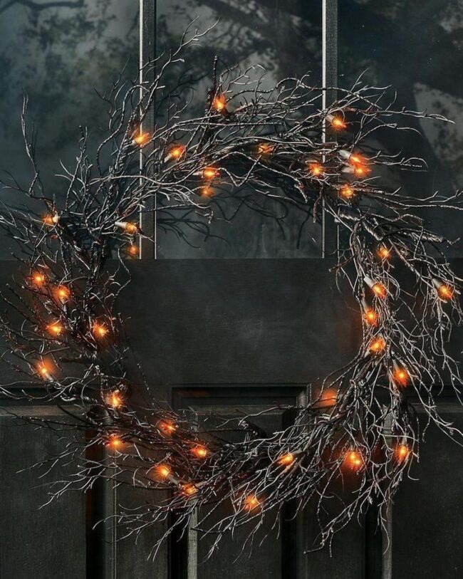 Enchanted Forest Shadows