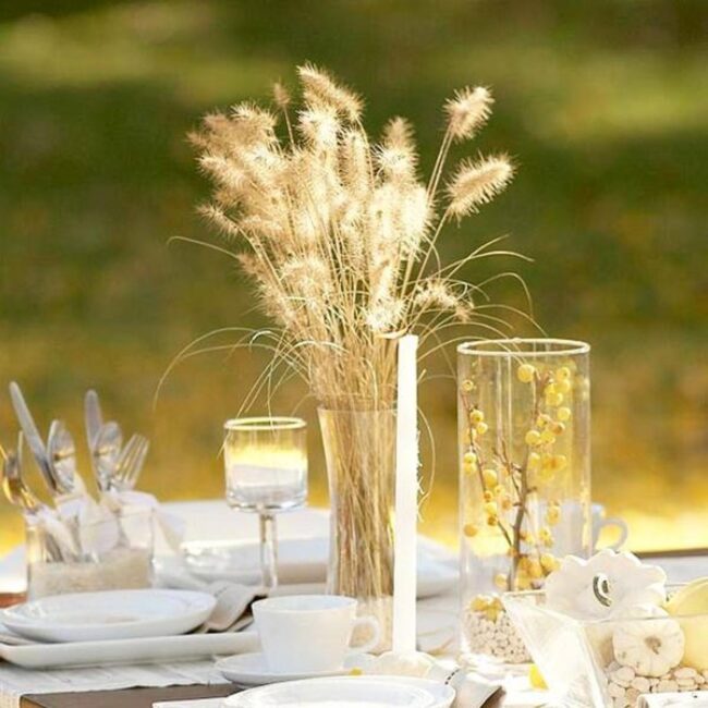 Golden Nature Setting