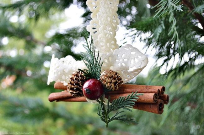 Pine Forest Whispers