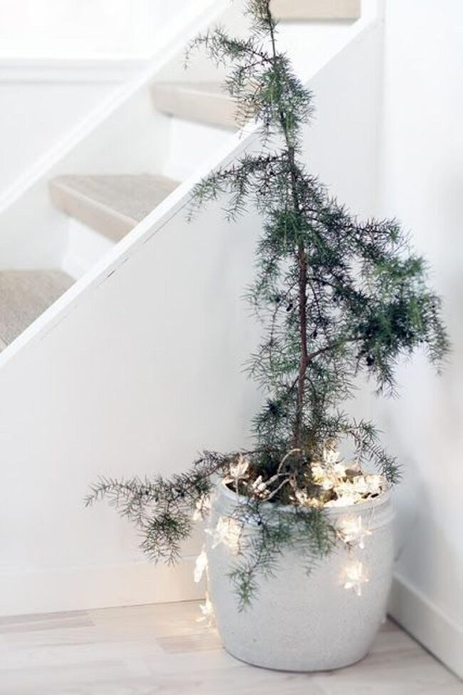 Green Serenity Floors