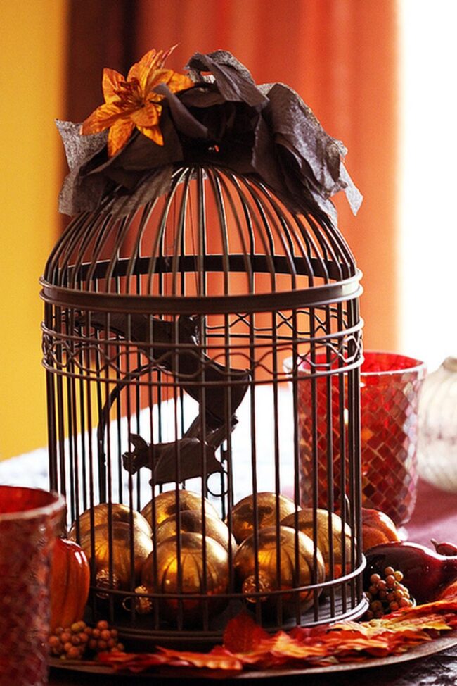 Warm Golden Autumn Glow