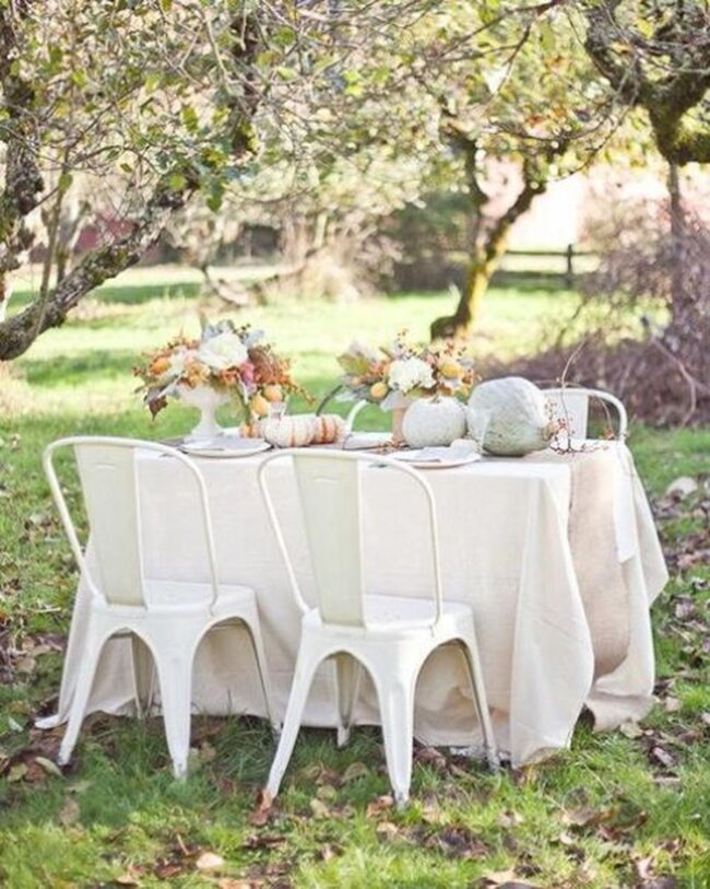 Autumn Sunlight Dining