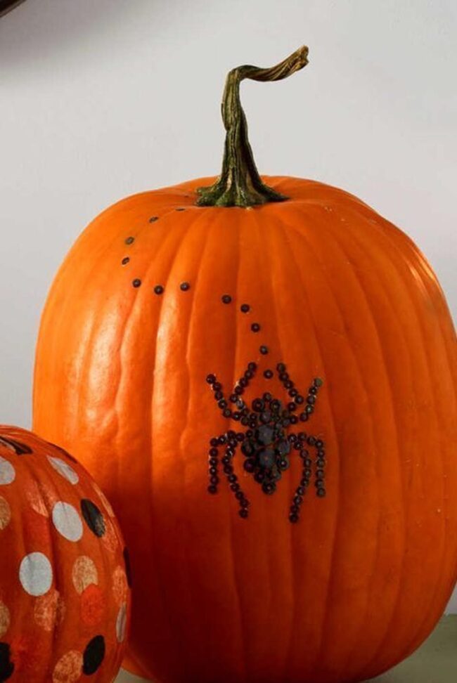 Black Beaded Spiders