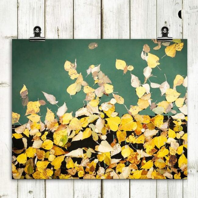 Amber Leaf Canvas