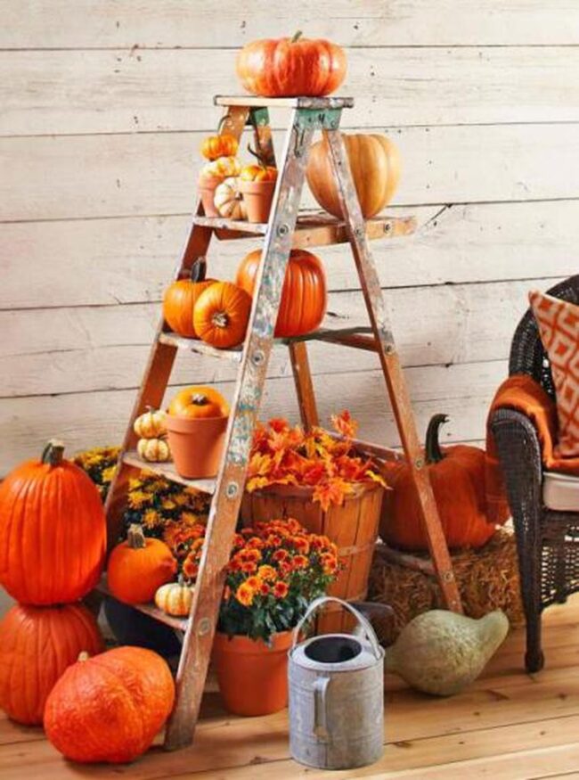 Wooden Ladders Pumpkin Scene