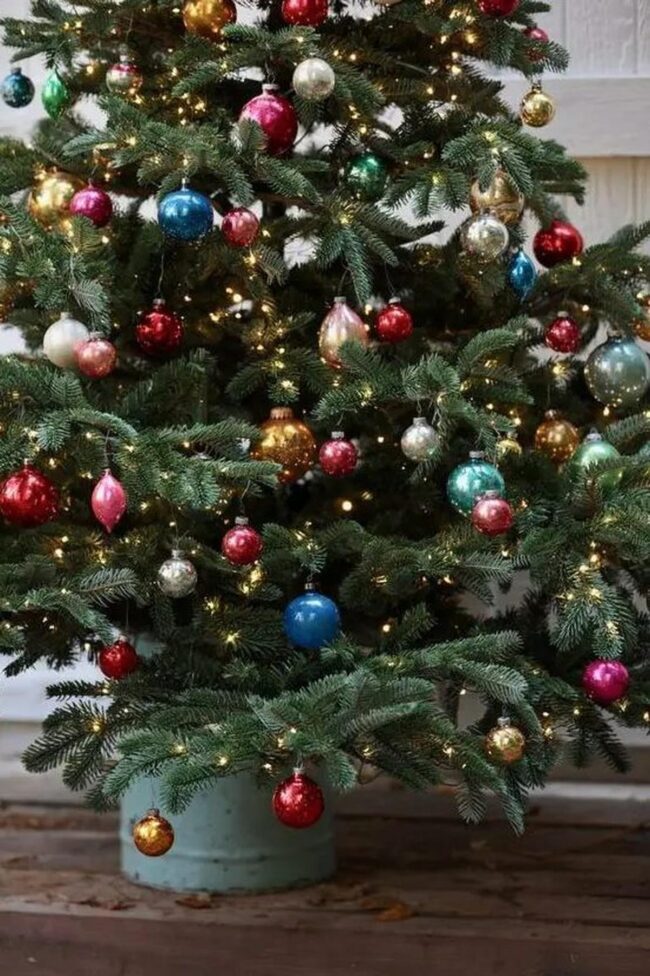 Luminous Pine Jewels