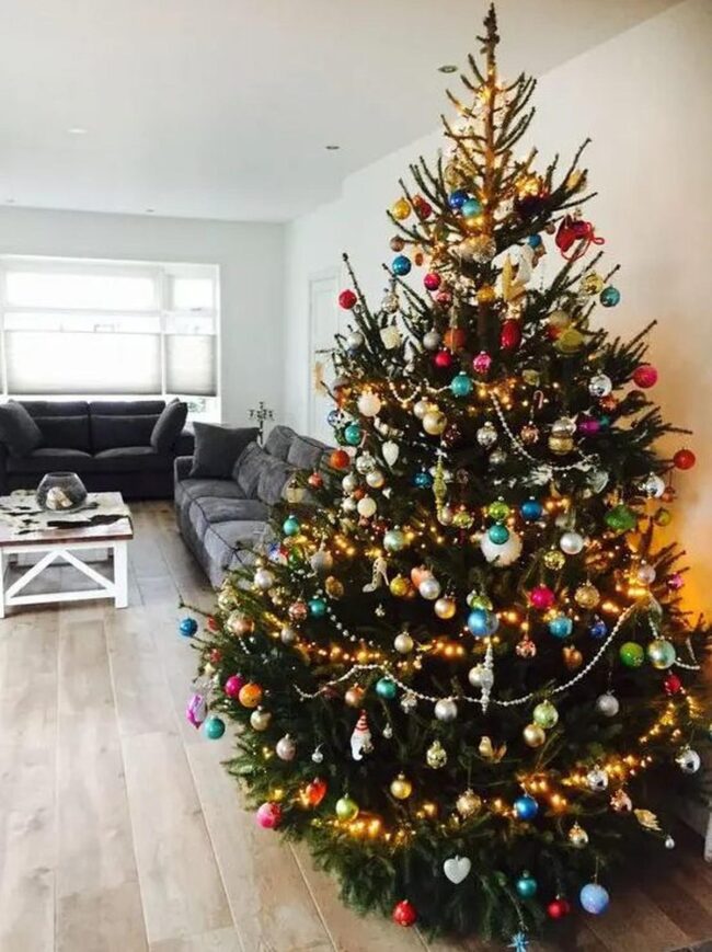 Luminous Holiday Gathering