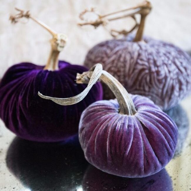 Lavender Velvet Pumpkins