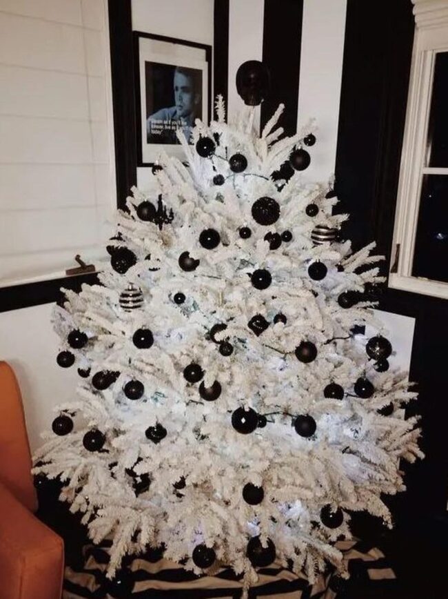 Black White Contrast