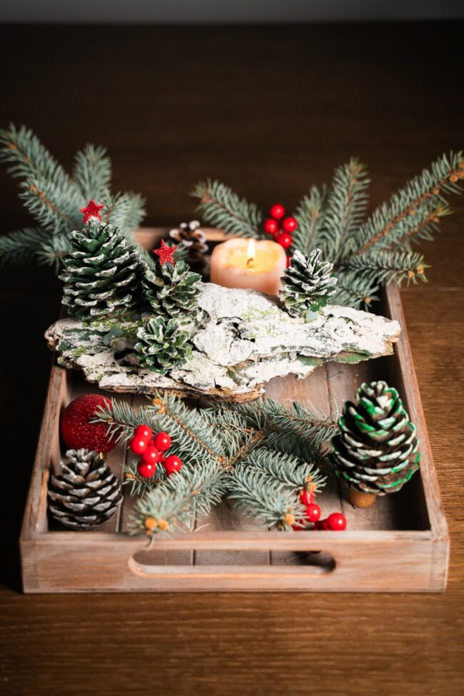 Winter Forest Sparkle