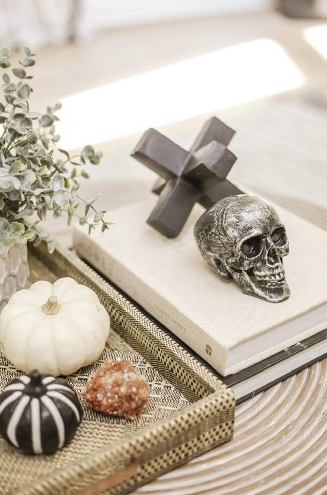 Silver Skull Bookshelf Display