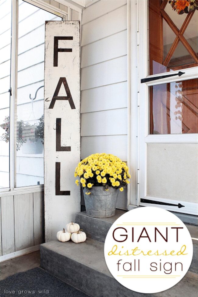 Sunlight Golden Pumpkins