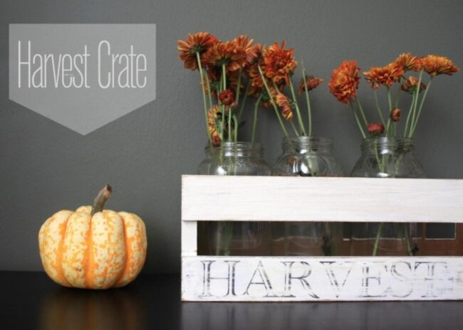 Orange Pumpkins Cascade