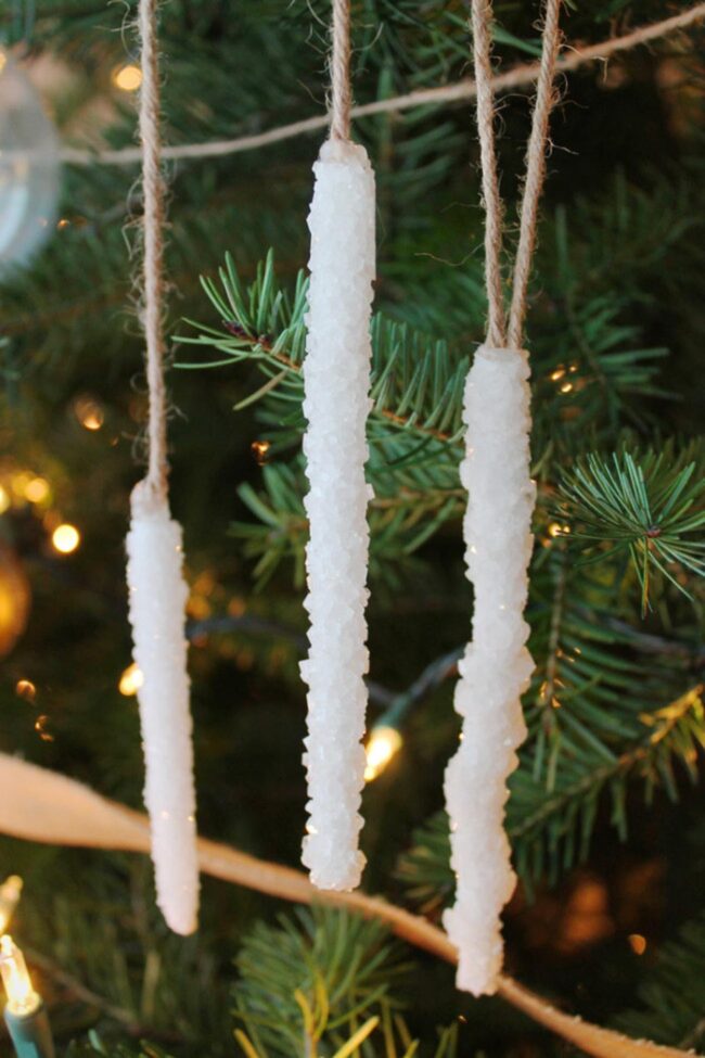 Sweet Crystal Pine Branches