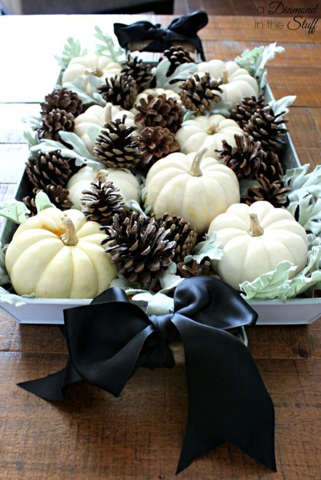 Woodland White Pumpkins