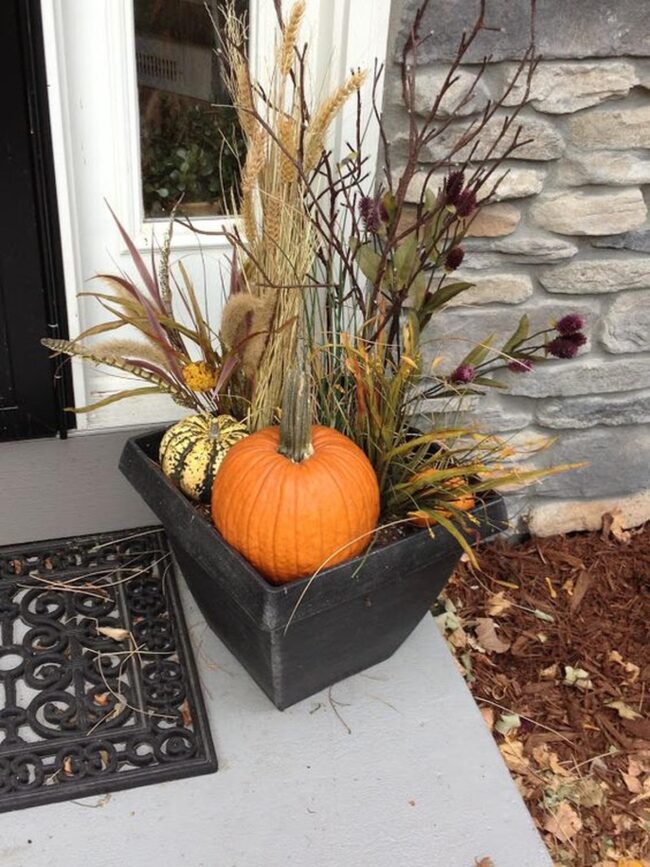 Pumpkin Black Container