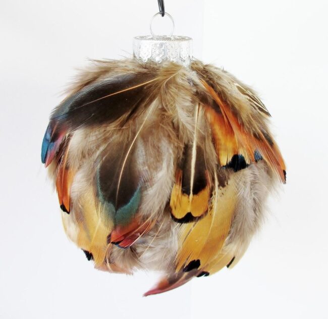 Feathered Luminous Symphony