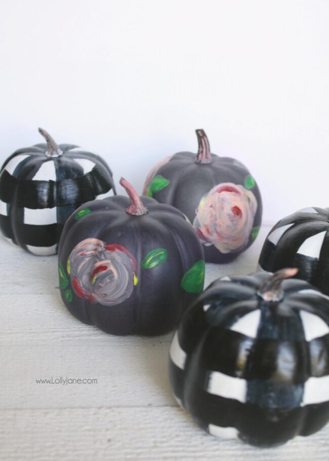 Graphic Pumpkins Pop