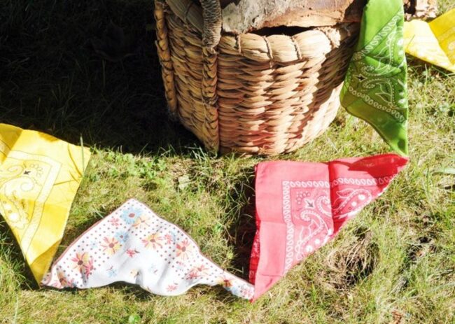 Vibrant Bandana Landscape