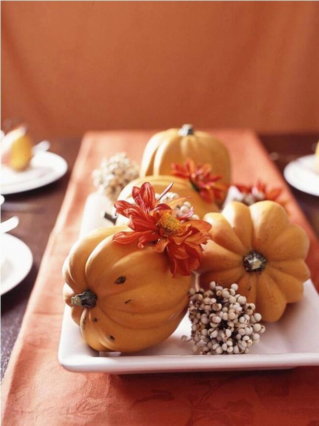 Autumnal Orange Gourds