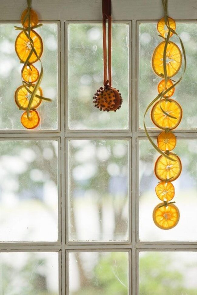 Golden Citrus Windows