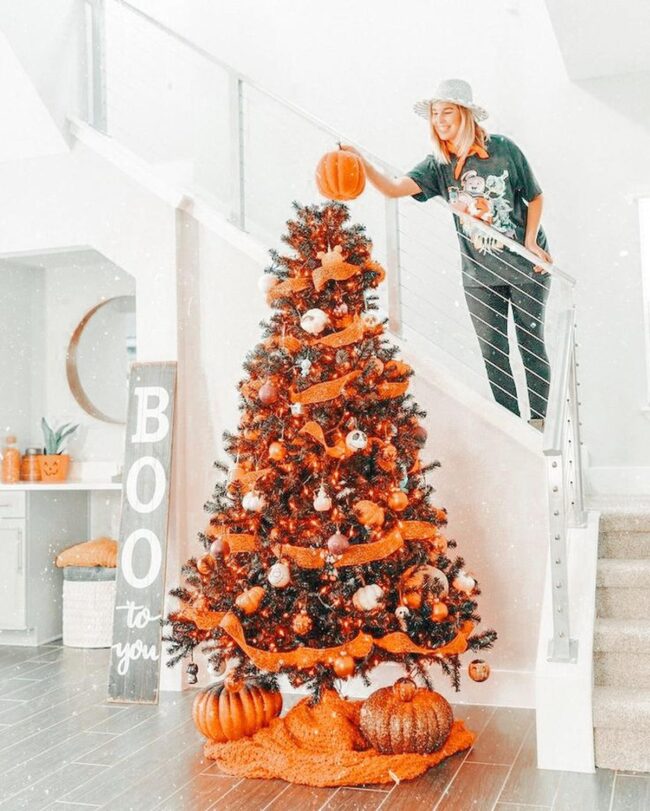 Midnight Orange Enchantment