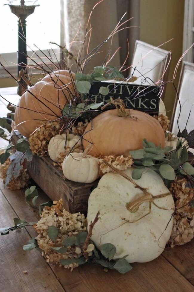 Harvest Pumpkin Palette