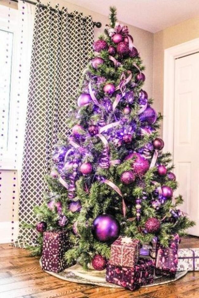 Purple Pine Festivity