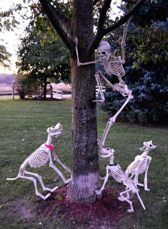 Skeleton Pals Climbing Trees