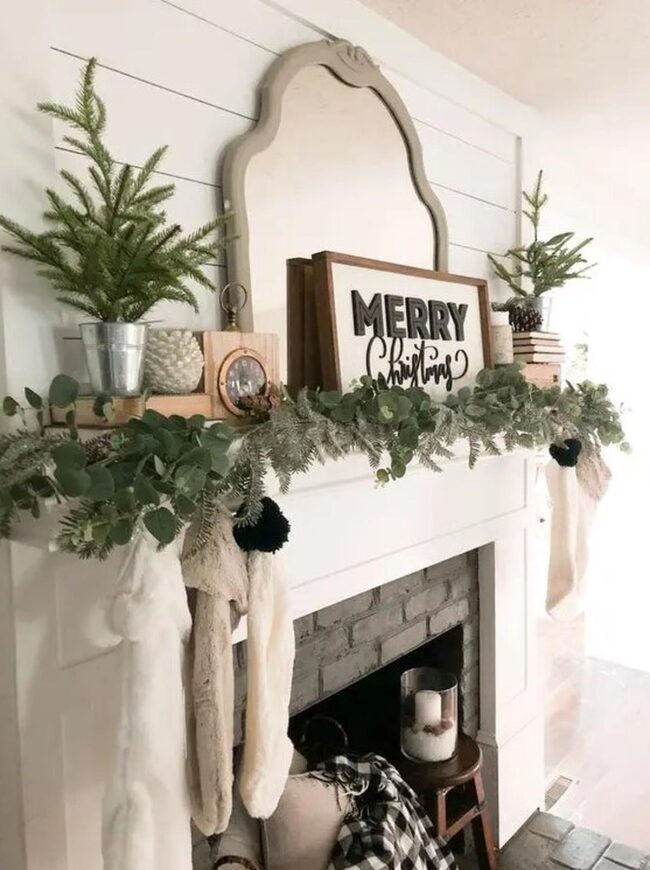 Winter Pine Silhouettes