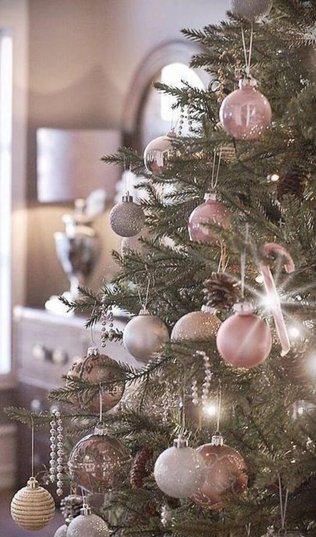 Soft Silver Pine