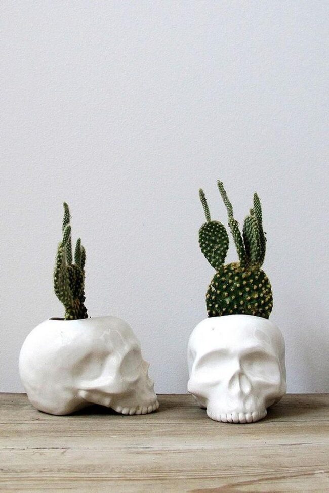 Skull Ceramic Cacti