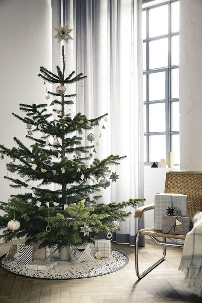 Golden Window Festivity