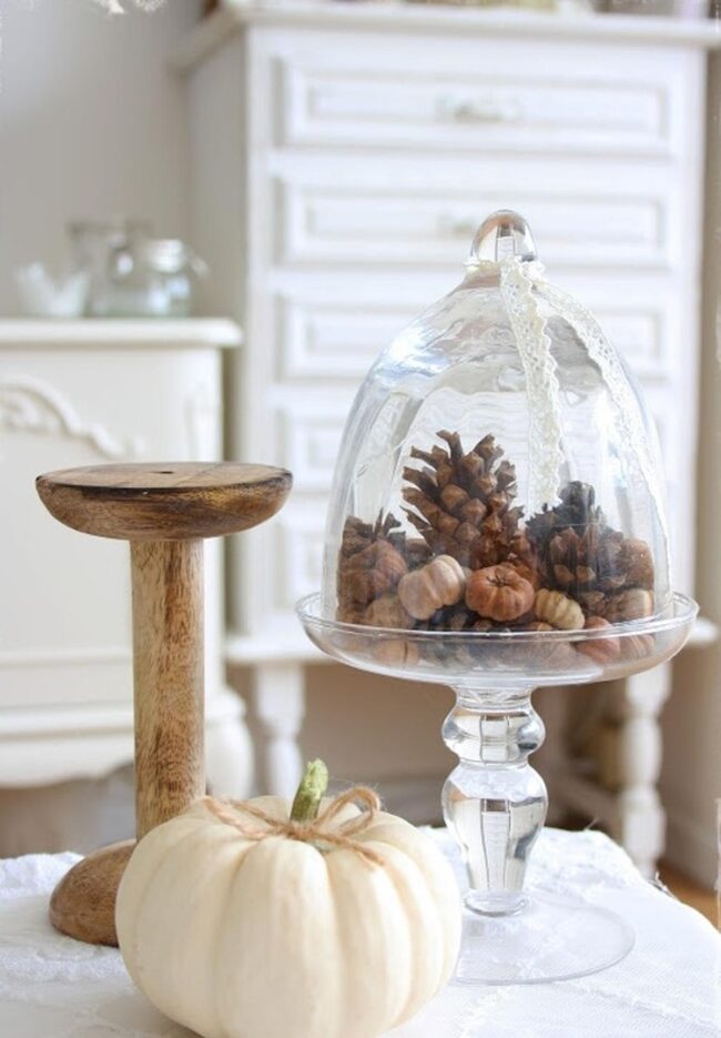 Pale Pumpkin Stillness