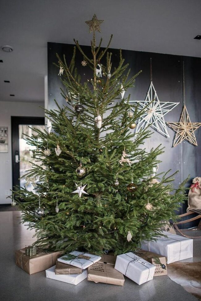 Silver Pine Festivity