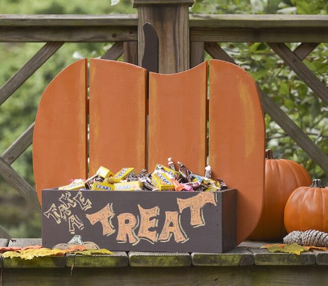 Orange Pumpkin Paradise