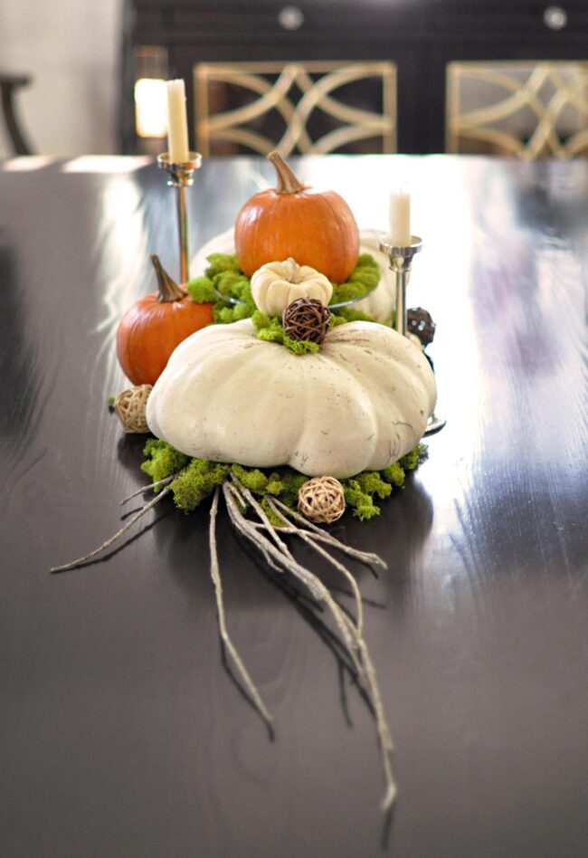 Mirrored Wood Autumn