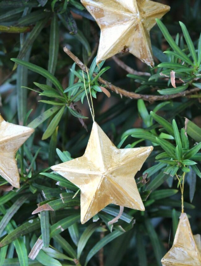 Golden Stars Verdant Landscape