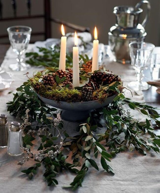 Natural Forest Gathering