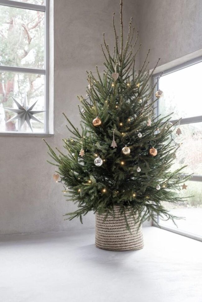 Green Tree Radiant