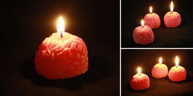 Cerebral Pink Wax Sculpture