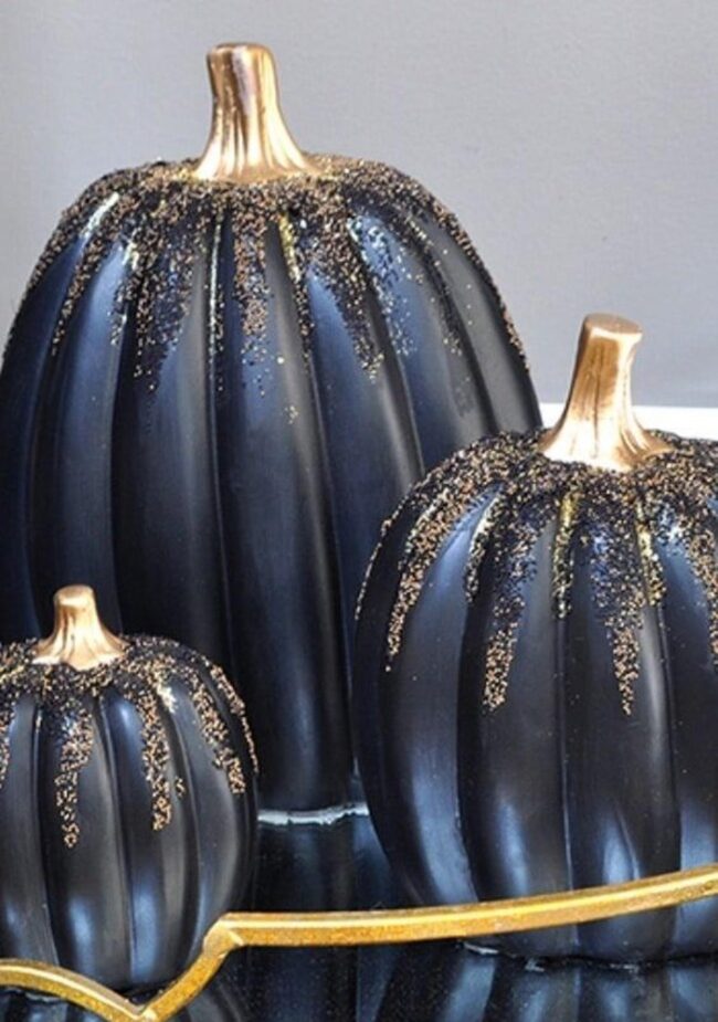 Black Gold Pumpkins