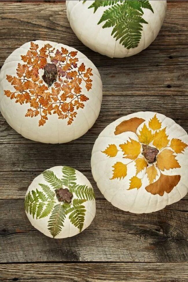 White Pumpkin Woodland Palette