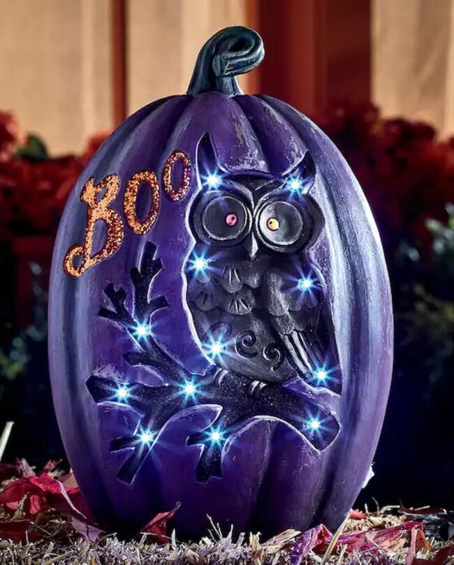 Purple Owl Pumpkins