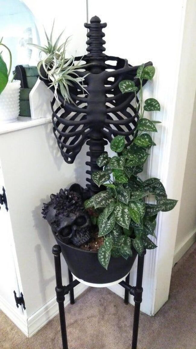 Black Bones Green