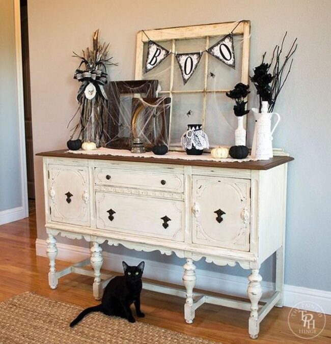 Midnight Black Pumpkins