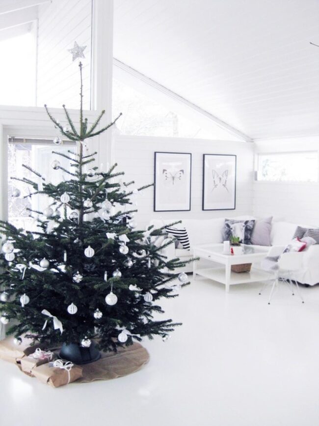 White Light Serenity