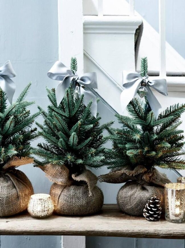 Pine Shelves Sparkle