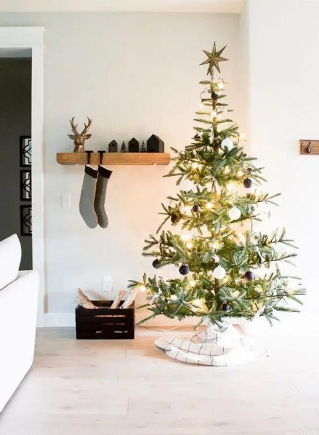 Winter White Woodland